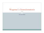 Wegener`s Granulomatosis