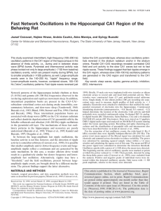 Fast Network Oscillations in the Hippocampal CA1