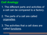 Cell Parts and Function