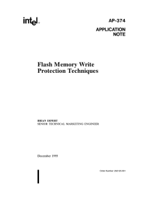 Flash Memory Write Protection Techniques
