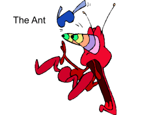 Ant Anatomy