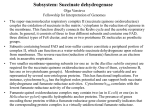 Subsystem: Succinate dehydrogenase