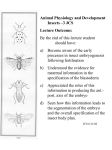 Evidence for determination of the blastoderm