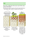 Soil is the crumbly layer that covers much of the rocky surface of the