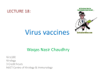 Virus vaccines