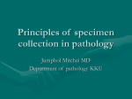 SURGICAL PATHOLOGY