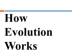 How Evolution Works