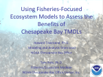 Using Fisheries-Focused Ecosystem Models to