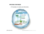 Protein Synthesis II