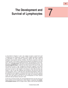 The Development and Survival of Lymphocytes