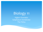File - Ms Nickel`s Biology 11H