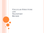 Cellular Structure and Transport Review