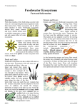 Location and Climate