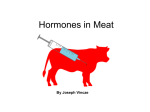 Hormones in Meat
