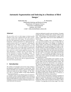 Automatic Segmentation and Indexing in a Database of Bird Images