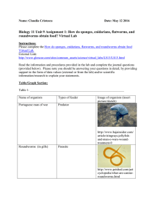 Biology 11 Unit 9 Assignment 1 How do sponges