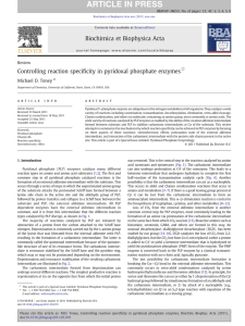 Controlling reaction specificity in pyridoxal phosphate