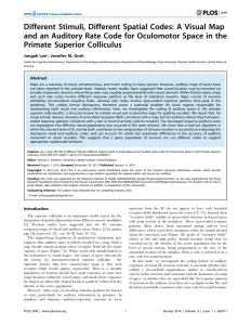 Different Stimuli, Different Spatial Codes: A Visual Map and an