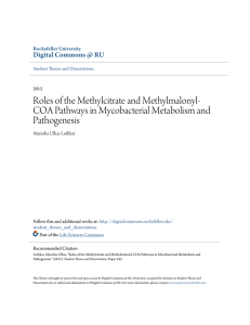 Roles of the Methylcitrate and Methylmalonyl
