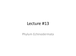Lecture #13
