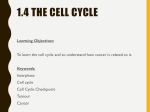 1.4 The Cell Cycle