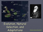 Evolution and Charles Darwin