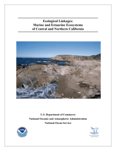 Ecological Linkages: Marine and Estuarine Ecosystems of Central