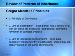 Patterns of Non Mendelian Inheritance