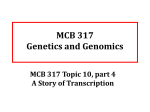 MCB317 Topic 10, part 4, A Story of Txn Sp14