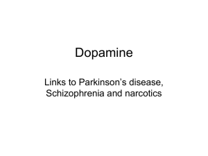 Dopamine File