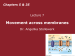 Movement across membranes