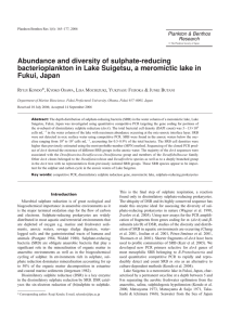 Abundance and diversity of sulphate