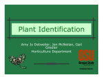 Plant Identification - Oregon State University