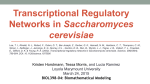 Transcriptional regulatory networks in Saccharomyces cerevisiae