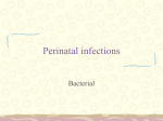 Perinatal infections - Lisa C. Cirello, RN