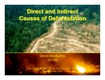 Direct and Indirect Causes of Deforestation