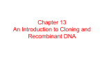 Chapter 13 An Introduction to Cloning and Recombinant DNA