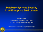 Database Security in an Enterprise Environment