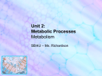 Unit 2: Metabolic Processes Metabolism and Energy