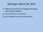 Evolution Evidence and Fossil Records