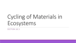 Cycling of Materials in Ecosystems