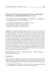 Structural and Functional Analysis of Glucose Absorption