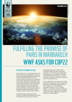 fulfilling the promise of paris in marrakech wwf asks for cop22