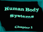 organ systems in the human body