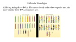 Molecular Homologies