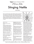 MF2631 Stinging Nettle - KSRE Bookstore