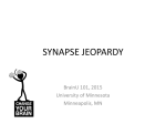 Synapse Jeopardy