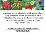 The main purpose of a flower is SEXUAL REPRODUCTION