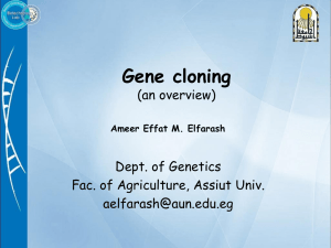 Gene cloning