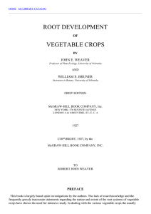 root development of vegetable crops